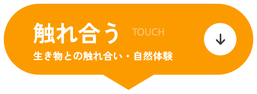 触れ合う