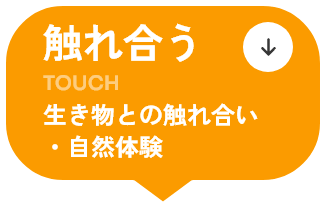 触れ合う